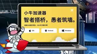 最牛翻墙app- 小牛加速器