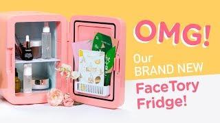 All About Our New FACETORY FRIDGE 