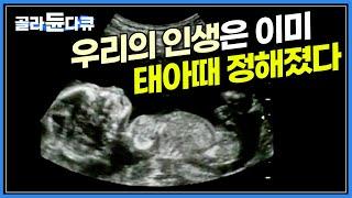 유전자, 환경 뿐만 아니라 엄마 뱃속에서의 삶의 질이 나머지 삶을 끌고 간다는 '태아 프로그래밍' 이론ㅣ출산율을 걱정하는 시대, 오히려 출산의 질에 주목한다ㅣ다큐프라임ㅣ#골라듄다큐