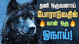 தனியாக போராடும் உங்களுக்கு ஓநாய் தான் inspiration / Wolf Motivation in Tamil / Wolf Theory!