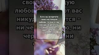 #цитаты #мудрость #психология #жизнь #отношения #саморазвитие #семья #любовь #счастье