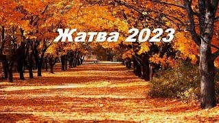 Жатва 2023г