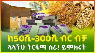 ከ50ሺ-300ሺ ብር ብቻ ላላችሁ ትርፋማ ስራ! ይሞክሩት | business idea |  Ethiopia | Gebeya