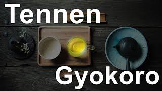 Was ist eigentlich Tennen Gyokuro?