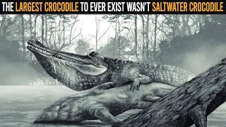 The Largest Crocodile To Ever Exist Wasn't Saltwater Crocodile