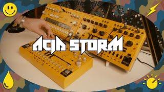  ACID STORM | Behringer TD3 / TD3 MO / RD6 Jam 