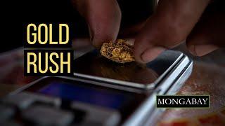 Skyrocketing gold prices push 'new' gold rush in the Brazilian Amazon