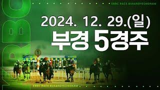 (부산) 2024.12.29 5경주