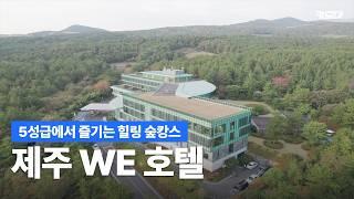 서귀포에서 나만 알고 싶은 호텔이었어요｜제주 WE 호텔