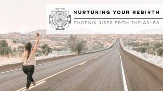 Nurturing Your Rebirth || Phoenix Rises From The Ashes