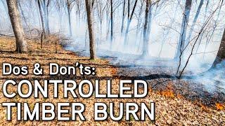 Controlled Timber Burn | Habitat Management