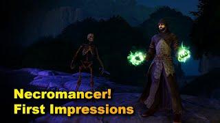 Necromancer First Impressions on Pantheon: Rise of the Fallen