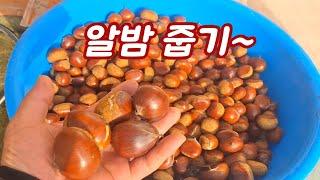 밤 산에 밤줍고 왔어요~