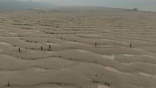 Brazil: Wildfires rage in the face of worst drought in 70 years | AFP