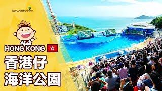 【香港景點】香港海洋公園Ocean Park一日玩轉！香港人最愛的遊樂園，可愛動物、好玩設施一次看