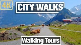 4K City Walks: Virtual Walking Tours for Fun and Fitness