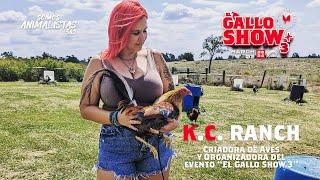 K.C RANCH y su trayectoria antes de "EL GALLO SHOW 3"