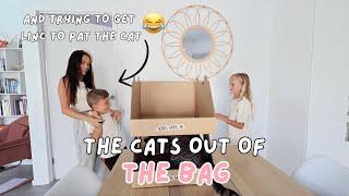 THE CATS OUT OF THE BAG HEHEHE! *AUSSIE MUM VLOGGER*