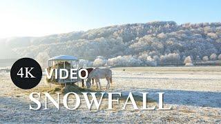 Soothing Acoustic Guitar | Snowfall beautiful 4K Video