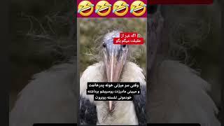 بامادرزنت شوخی نکن #funny #خنده##خانواده#پدرزن#مادرزن#روزپدر