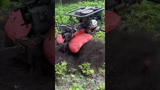 Что за зверь #husqvarna #stihl #мотоблок#культиватор