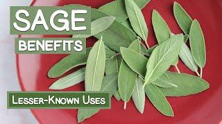 Sage Leaf Benefits, Two Lesser-Known Herbal Uses