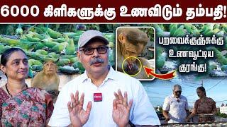 6000 கிளிகளுக்கு உணவிடும் தம்பதி! | Parrot Sudharsan | #parrot #Chennaibirds