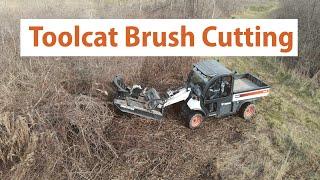  Brush Cutting Along ATV Trails - Toolcat with Skid Steer MTL XC7 Hydraulic Swing Blade Cutter