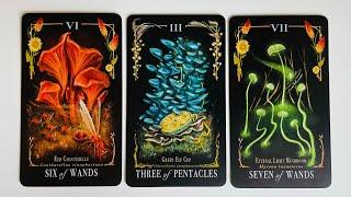 What You Don't See Coming - Pick a Card - Timeless Tarot