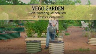 Self-Watering Garden Bed VS Classic Garden Bed | Vego Garden