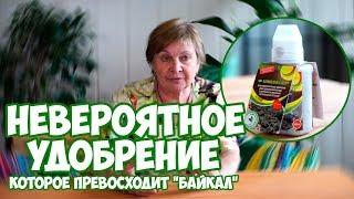 ЛУЧШИЕ УДОБРЕНИЕ ДЛЯ САДА И ОГОРОДА  Биокомплекс - БТУ  мой сад