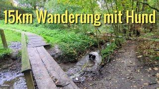 Wanderung mit Hund | Castrop Rauxel Zeche Erin, Langeloh, Dellwiger Bachtal | Marion & Neto