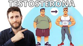 HAZ ESTO PARA AUMENTAR TU TESTOSTERONA NATURALMENTE