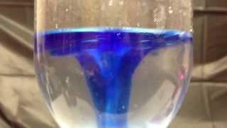 Cyclone Tube Tornado in a Bottle ~ Incredible Science