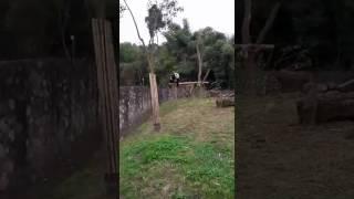 BaoBao the climber 7/3/17