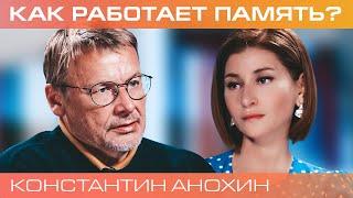 Константин Анохин об устройстве памяти, природе забвения, и жизни в мире ложных воспоминаний