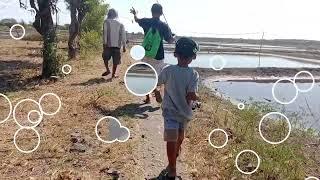 Spot kakap putih tambak kang Kacong