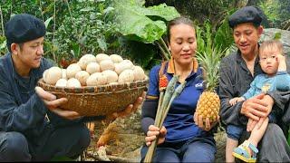 Going Into The Forest To Get Colocasia Gigantea, She Falls. Is The Girl Seriously Injured?|BayNguyen