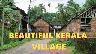 BEAUTIFUL KERALA VILLAGE | INDIA