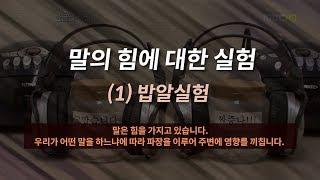 말 함부로 하면 안되는 이유 - [MBC 다큐] 말의 힘에 대한 실험