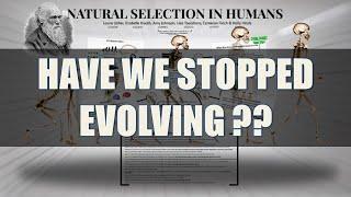 An Insight Into Modern Human Evolution