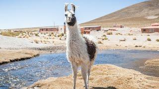 Bonita Bolivia 2023 - (GoPro Hero 7 Black - Full HD)