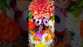 New Odia Jagannath Bhajan Status ||Fullscreen 4k Bhajan Status #shorts #whatappstatus #kaliacrush