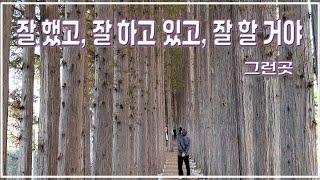 익산 아가페정원 메타세콰이어길  You're doing well,you're going to do well.Metasequire Road