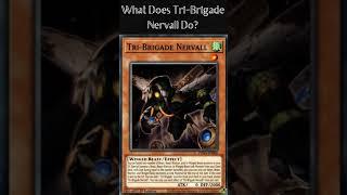 What Does Tri-Brigade Nervall Do? (Yugioh Cards Explained for Easy Deck Building)