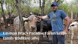 Cayman Brac’s Paradise Farms keeps family tradition alive