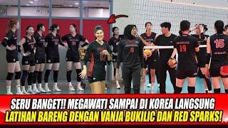 SERU BANGET!! MEGAWATI SAMPAI DI KOREA LANGSUNG LATIHAN BARENG DENGAN VANJA BUKILIC DAN RED SPARKS!