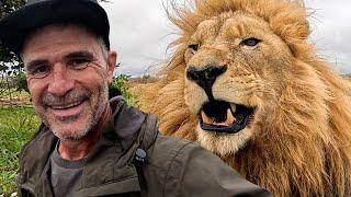 LION Jumps on Me! | The Lion Whisperer