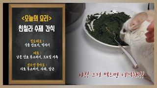 우당탕탕 친칠라 수제간식 만들기 브이로그 (요약 : 더보기)