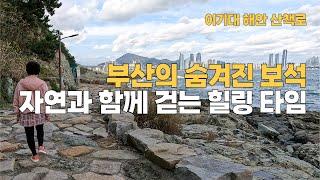 부산 가볼만한 산책 코스!! 이기대공원 동생말 전망대 & 해안산책로